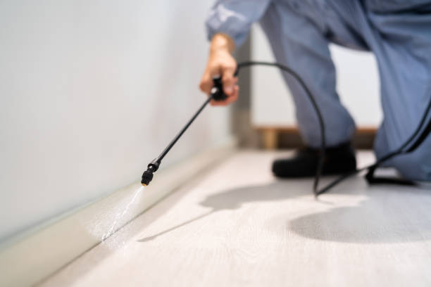 Licensed Termite Control service in Laurel, MD - Show Me Pest Control